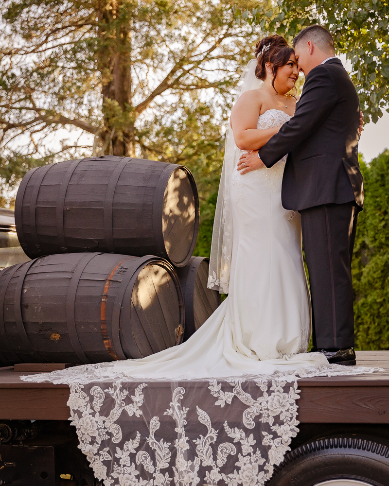 Wedding and engagement photography — wedding day portrait session